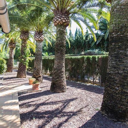 Finca Pepe 2 Hotel Denia Kültér fotó